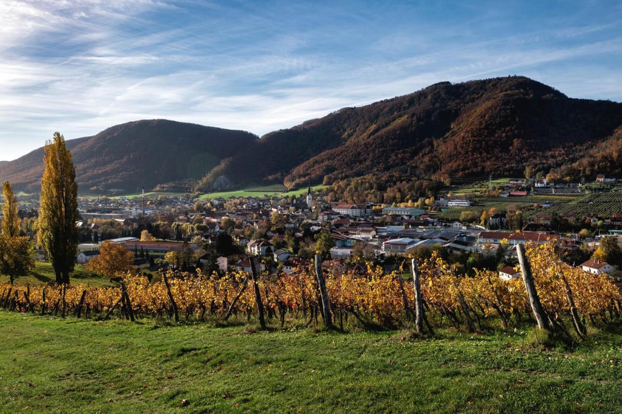 Hotel Dvorec Trebnik - Sobe 3*