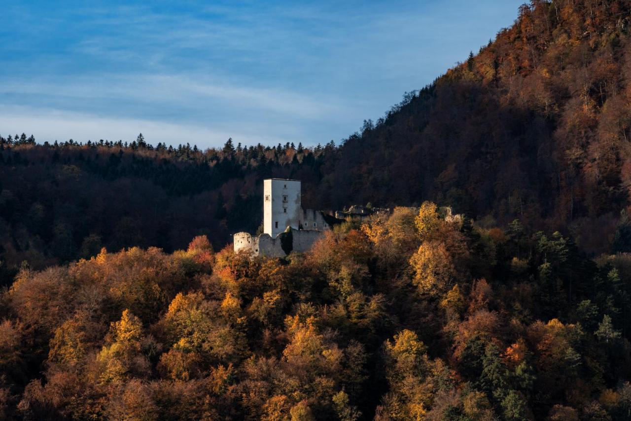 Dvorec Trebnik - Sobe Hotel Slovenske Konjice