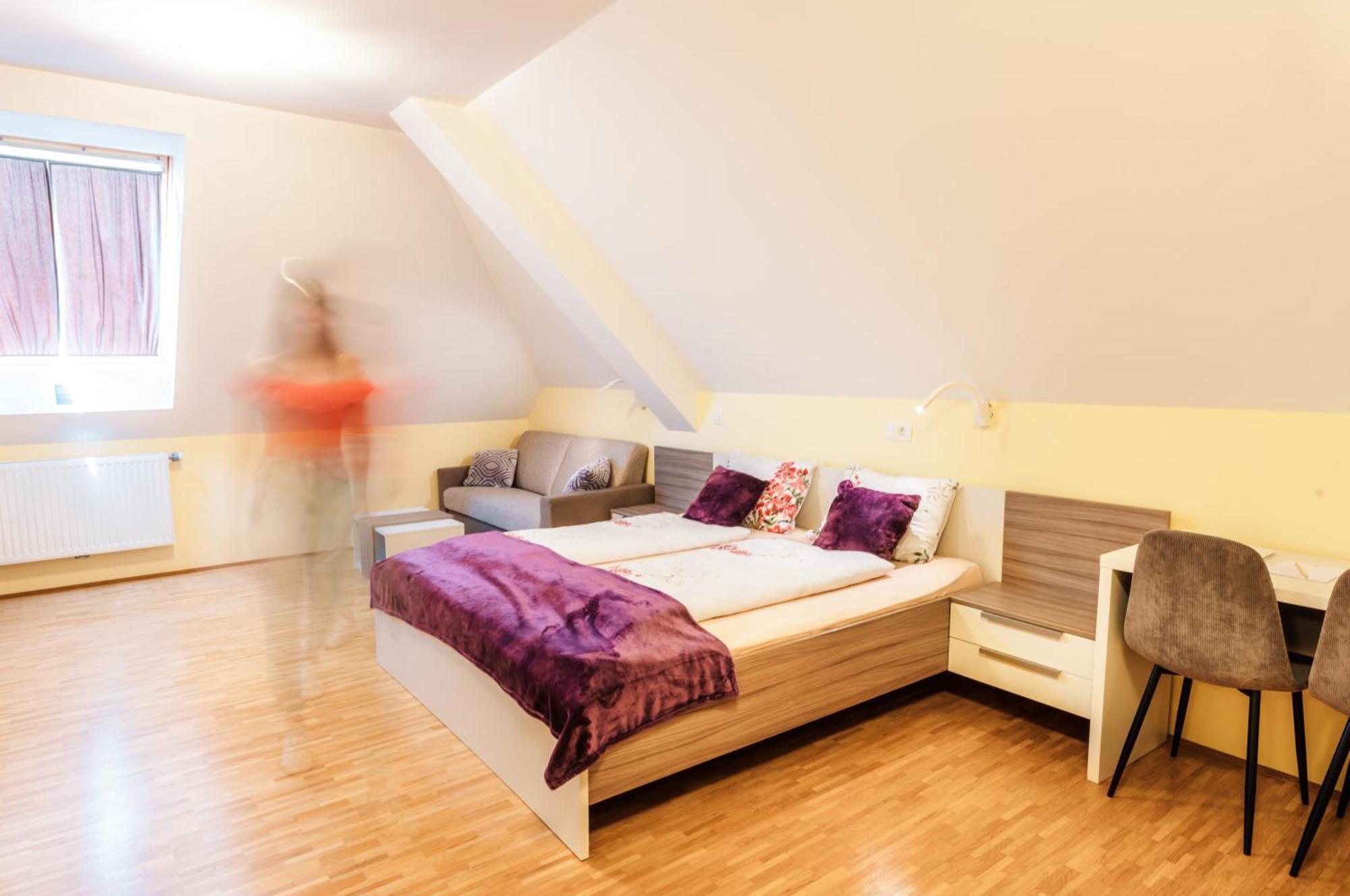 Dvorec Trebnik - Sobe 3* Slovenske Konjice