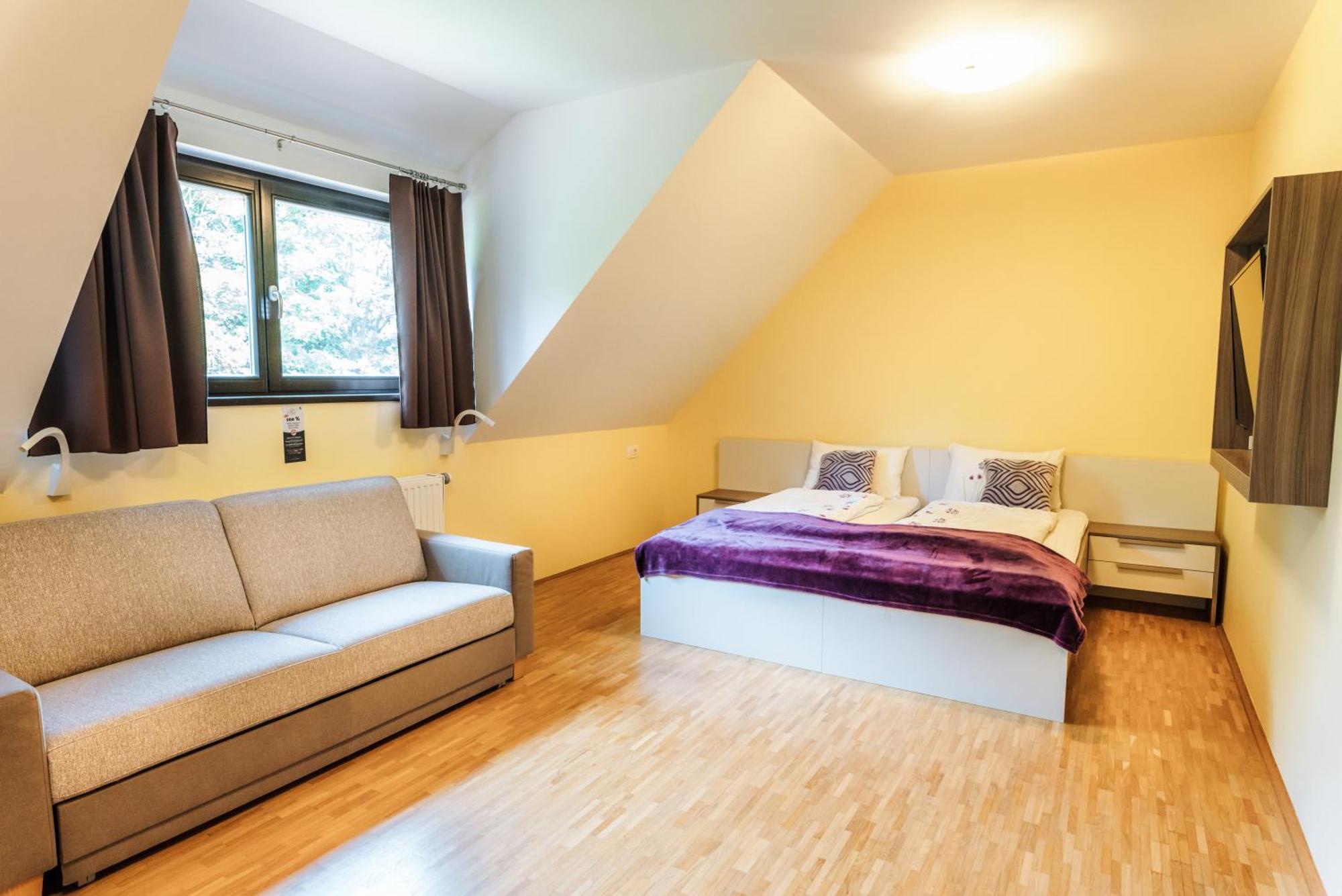 Dvorec Trebnik - Sobe 3* Slovenske Konjice